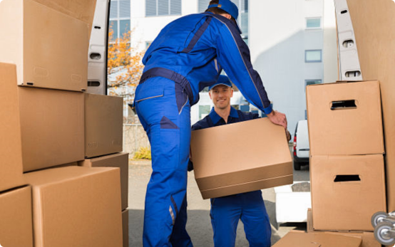 Excellent supply chain and fast delivery service